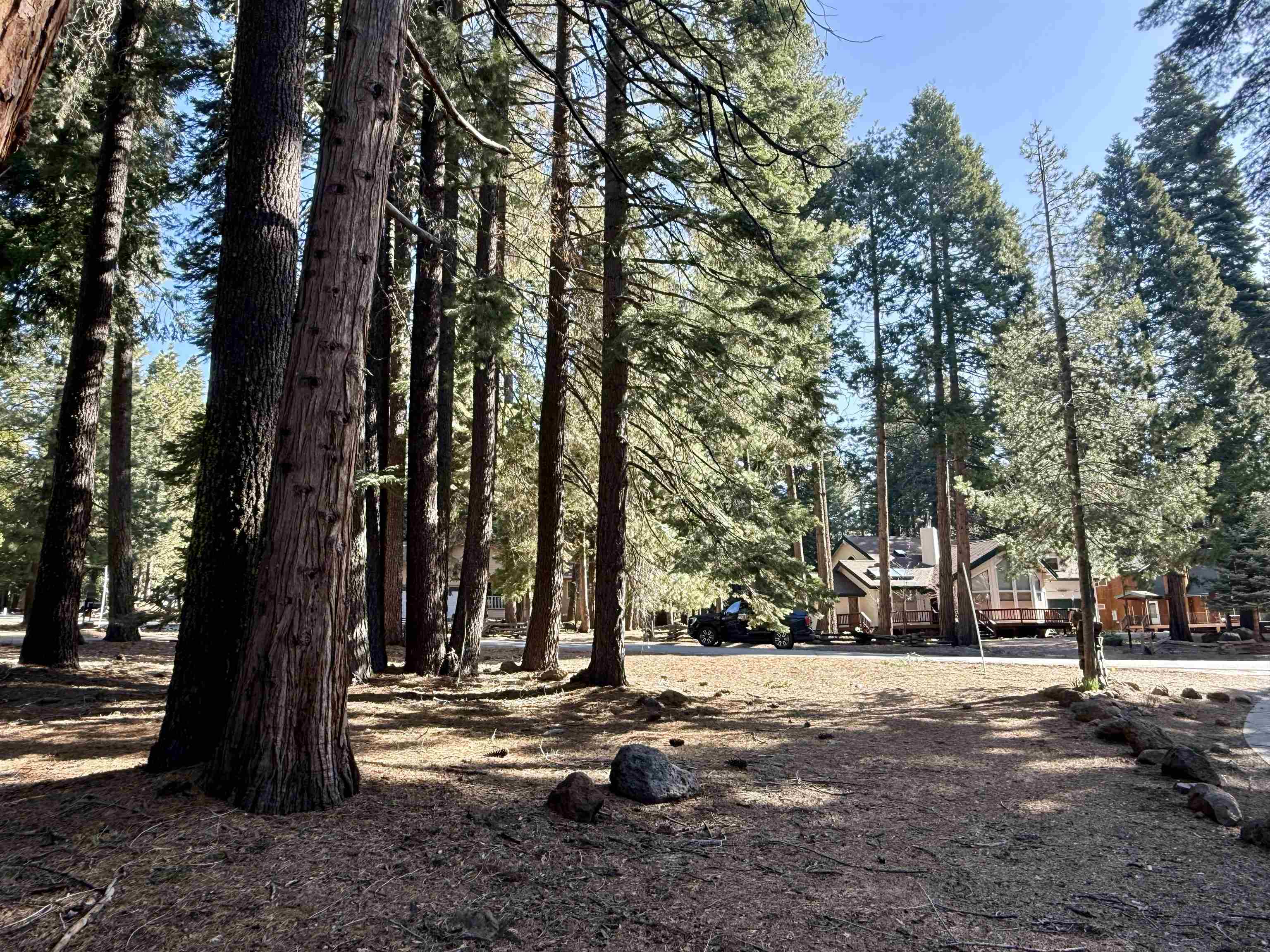 731 Conifer Trail, Lake Almanor, Ohio image 1