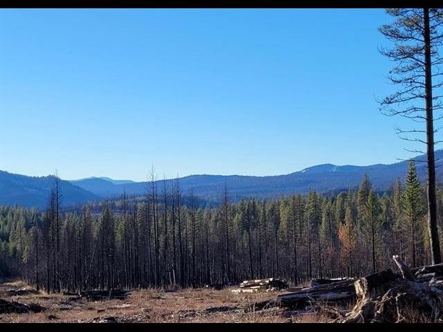 2300 Upper Pecks Valley Road, Greenville, California image 1