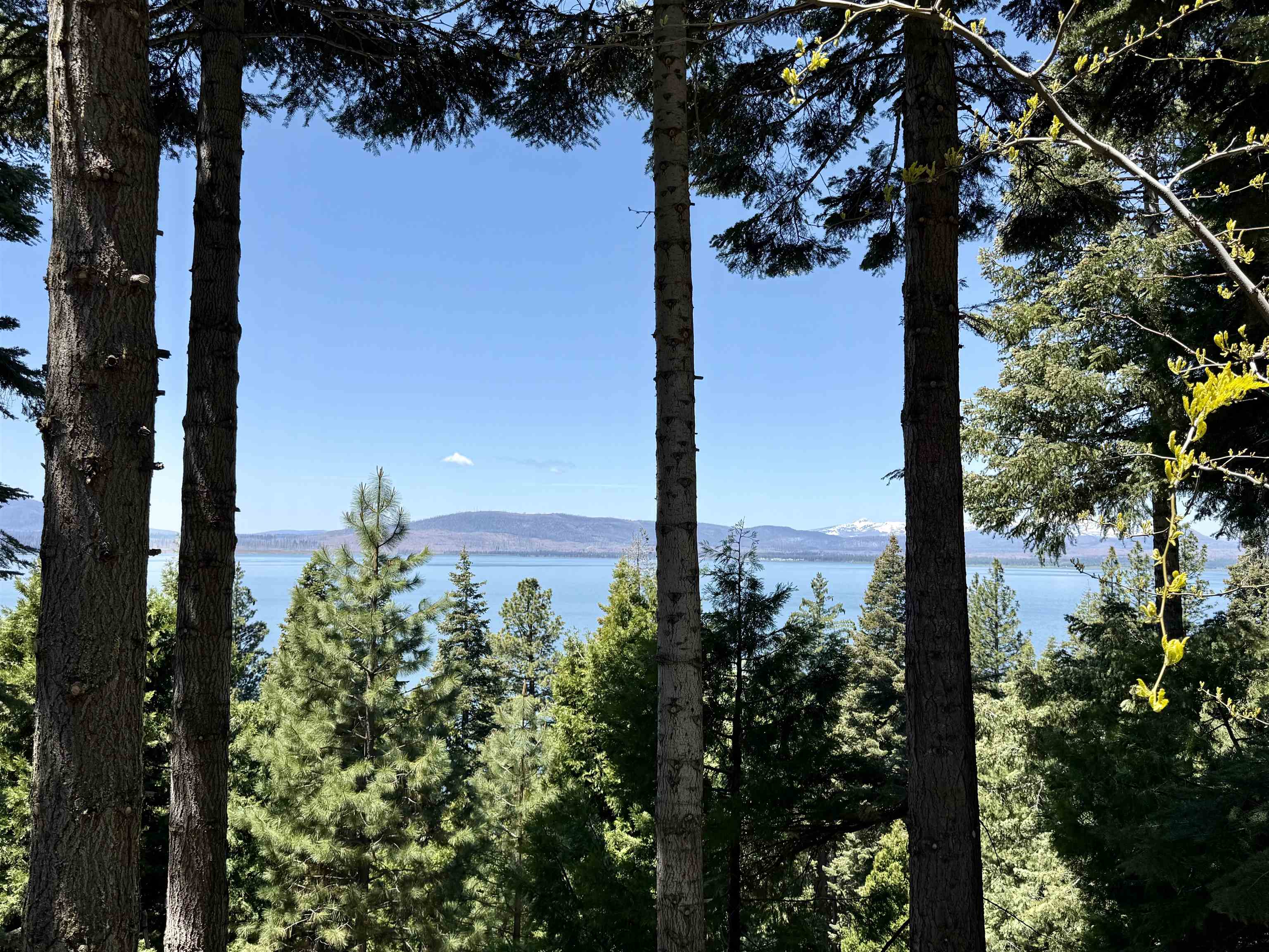788 Lassen View Drive #21, Lake Almanor, New Mexico image 27