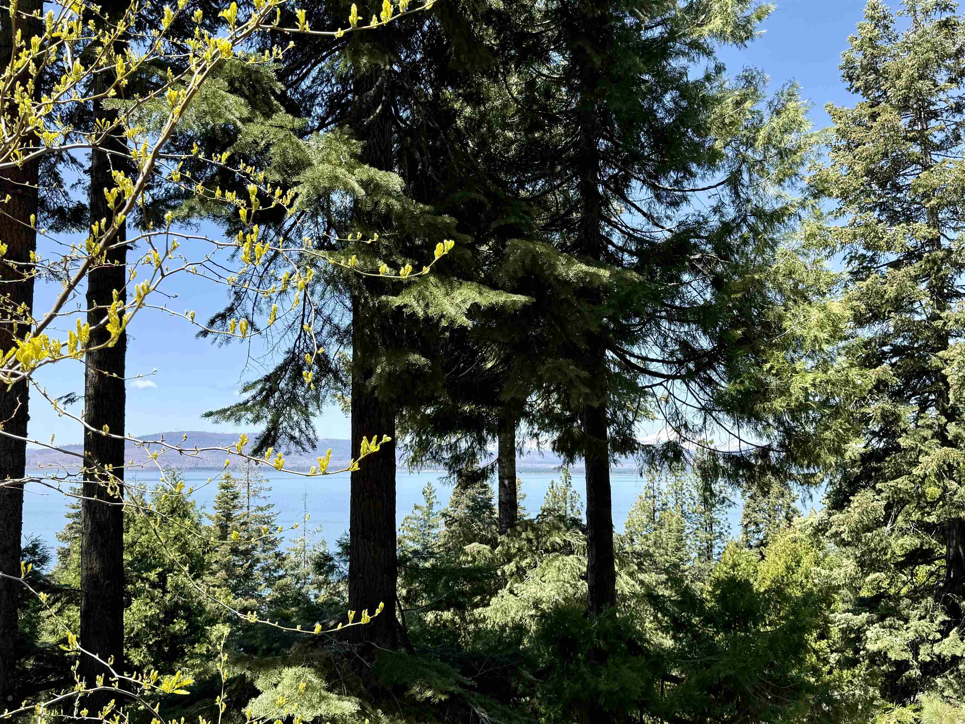 788 Lassen View Drive #21, Lake Almanor, New Mexico image 39