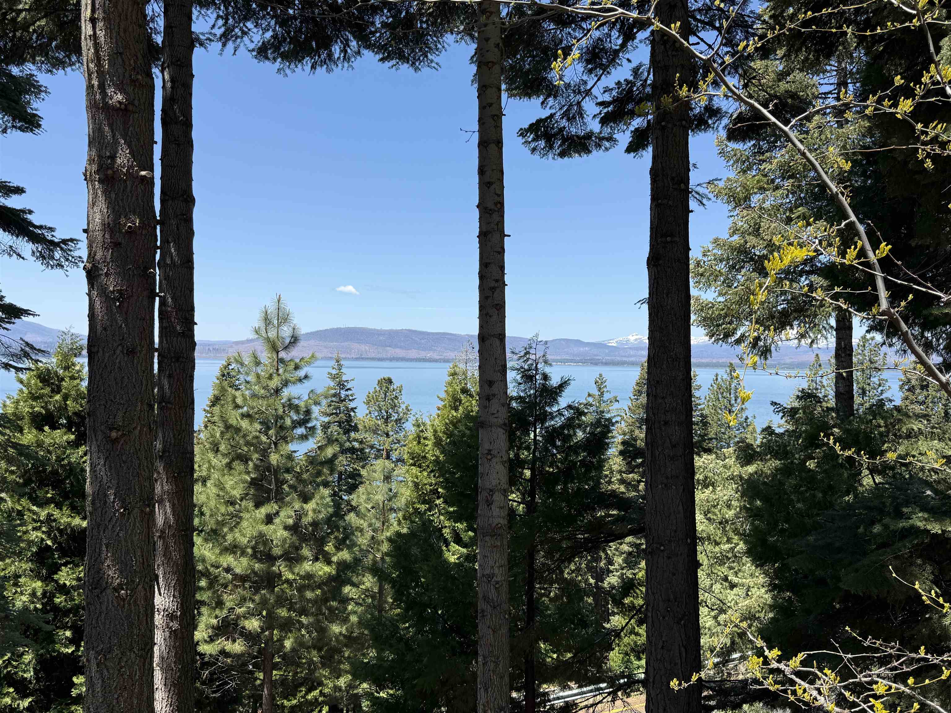 788 Lassen View Drive #21, Lake Almanor, New Mexico image 40