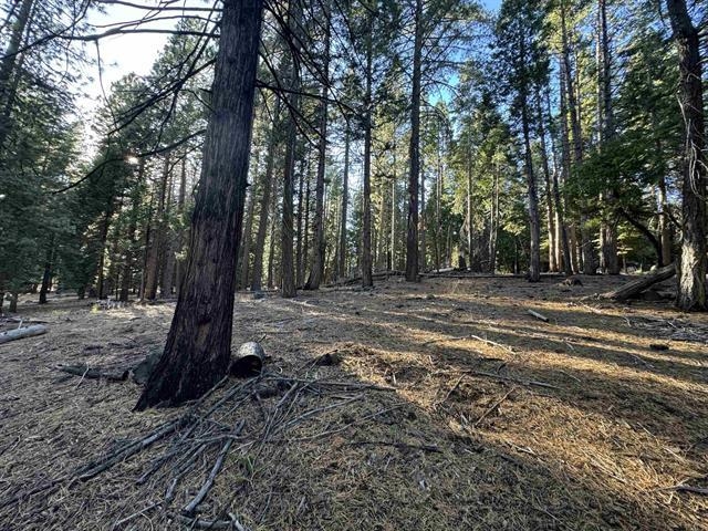 673 E Mountain Ridge Road, Lake Almanor, New Mexico image 1
