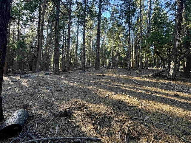673 E Mountain Ridge Road, Lake Almanor, New Mexico image 3