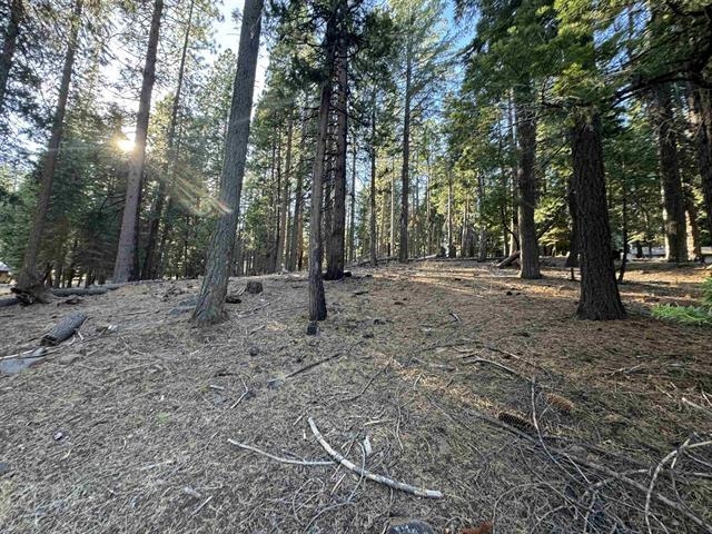 673 E Mountain Ridge Road, Lake Almanor, New Mexico image 2