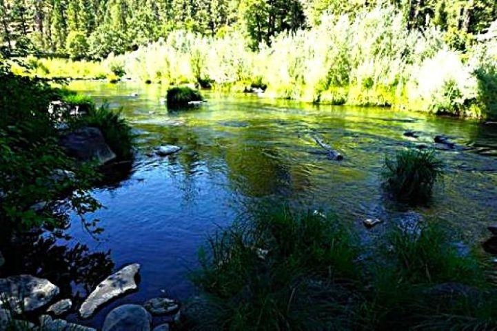 187 Riverview Lane, Twain, California image 2