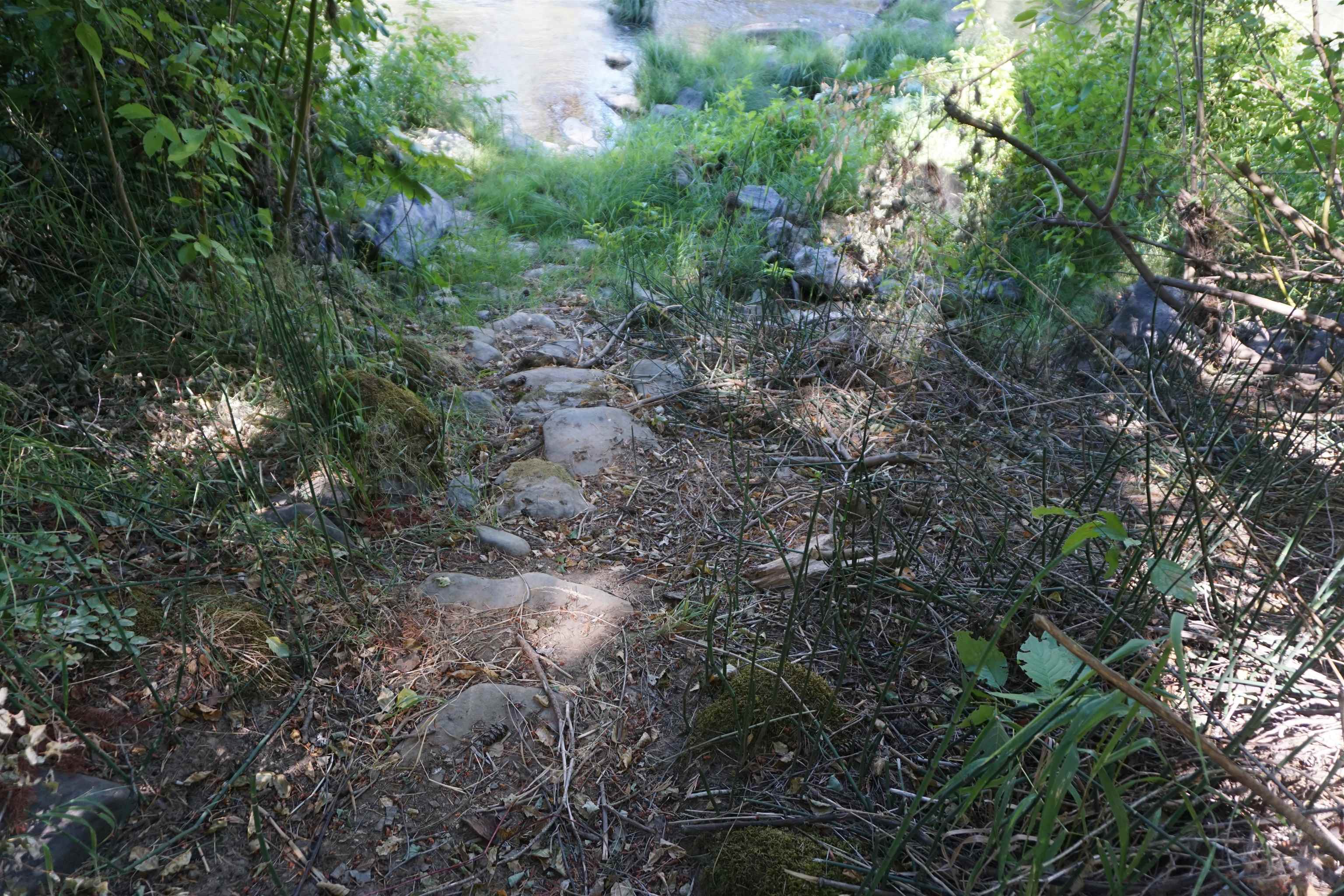 187 Riverview Lane, Twain, California image 25