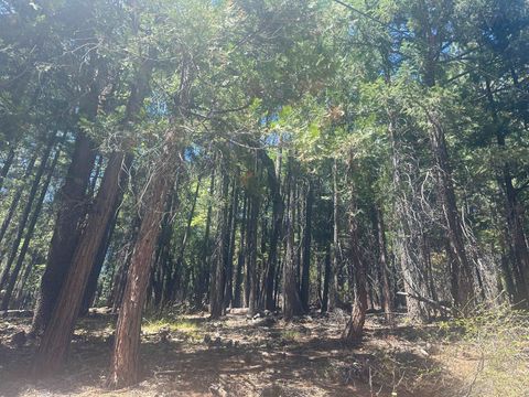 Vacant Land For Sale - 2547 Rideout Trail<br/> Quincy, CA 95971