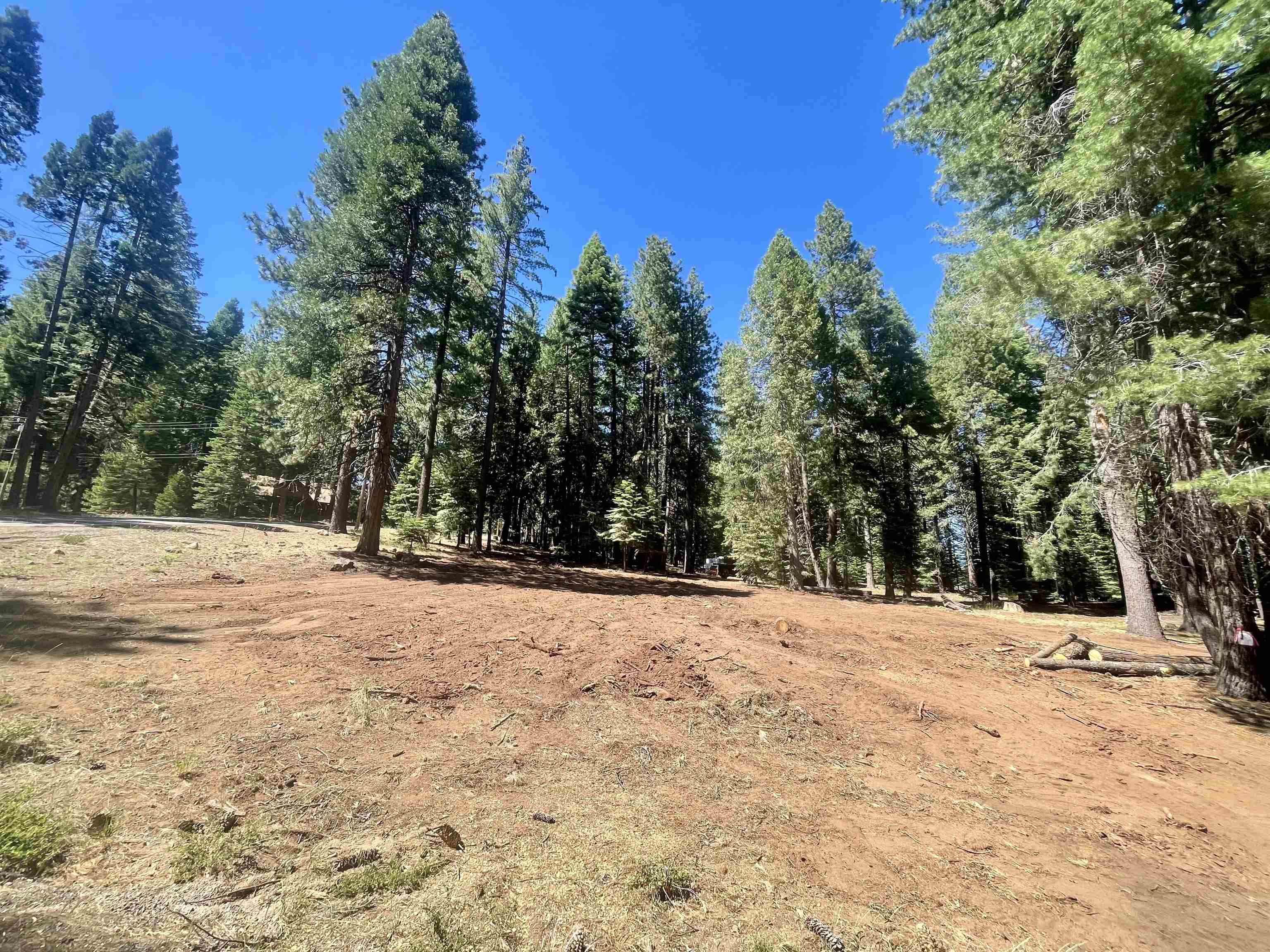 601 Deep Forest Road, Lake Almanor, California image 10