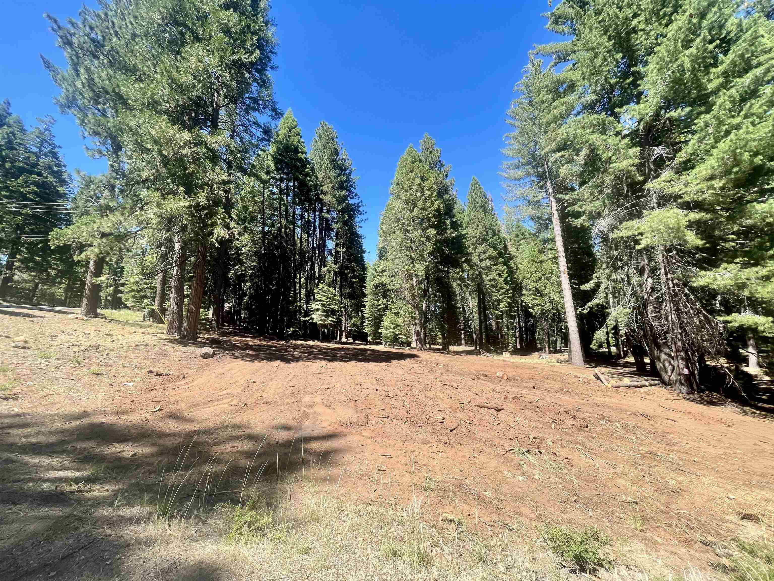601 Deep Forest Road, Lake Almanor, California image 11
