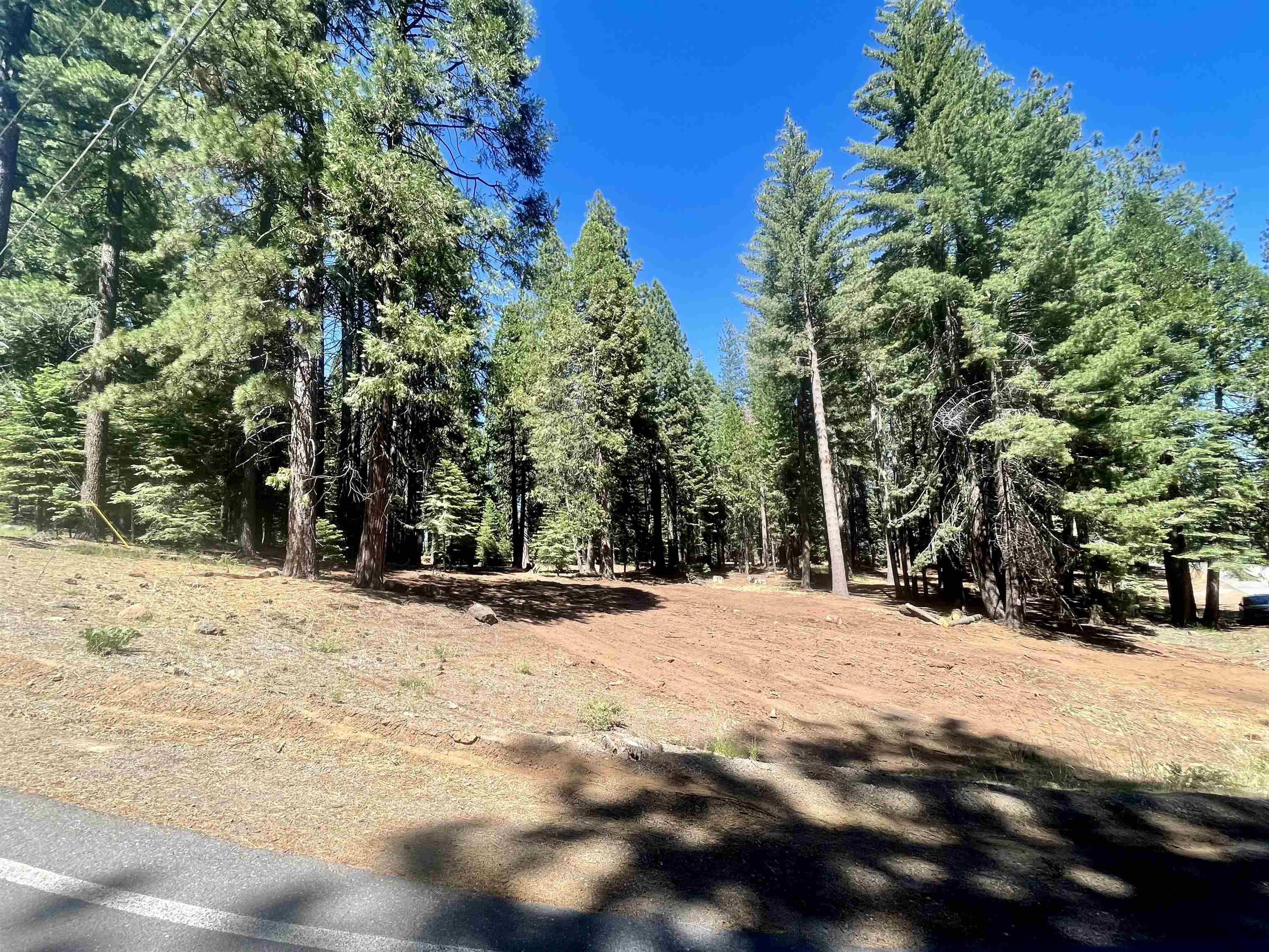 601 Deep Forest Road, Lake Almanor, California image 9