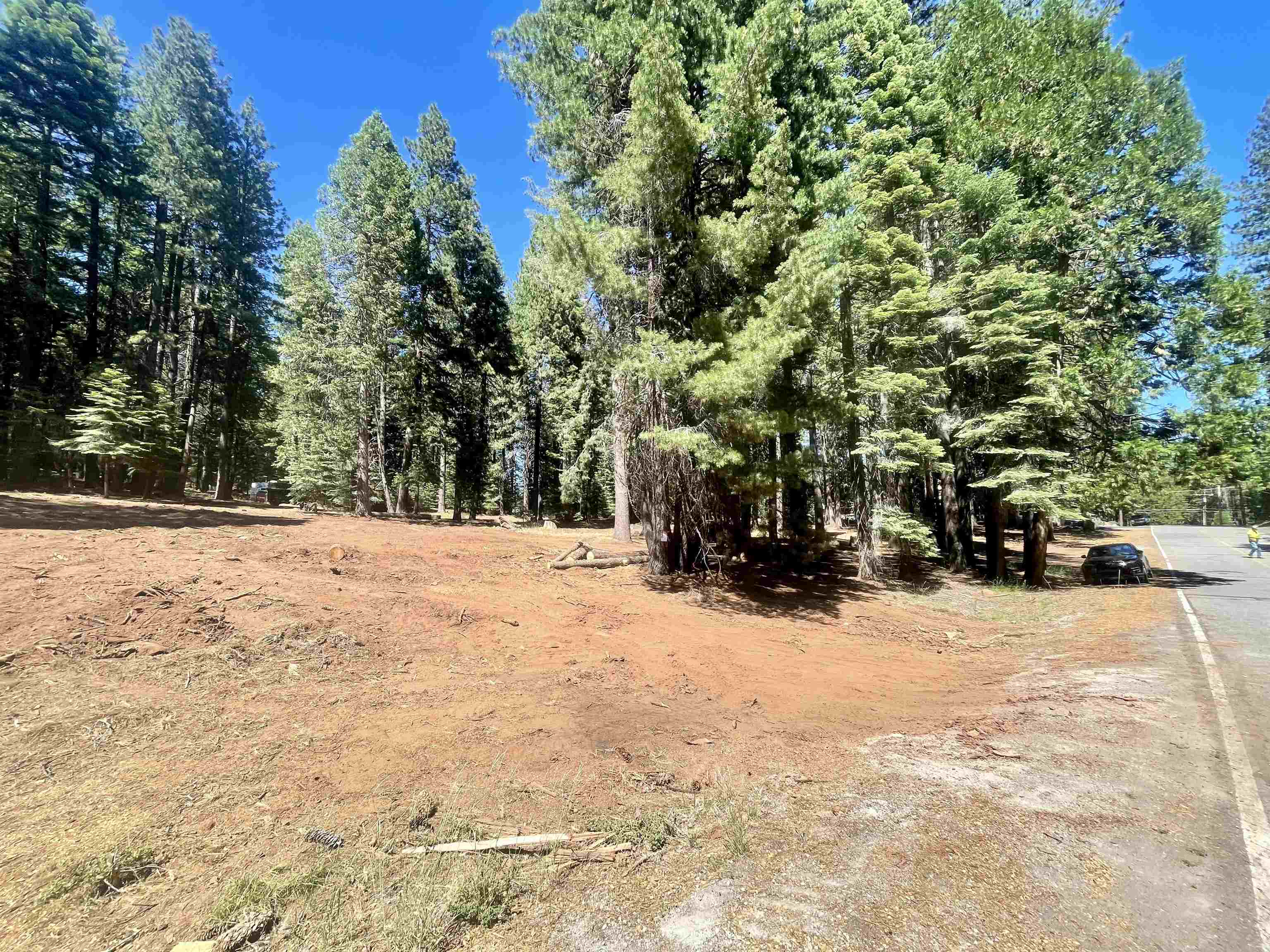 601 Deep Forest Road, Lake Almanor, California image 4