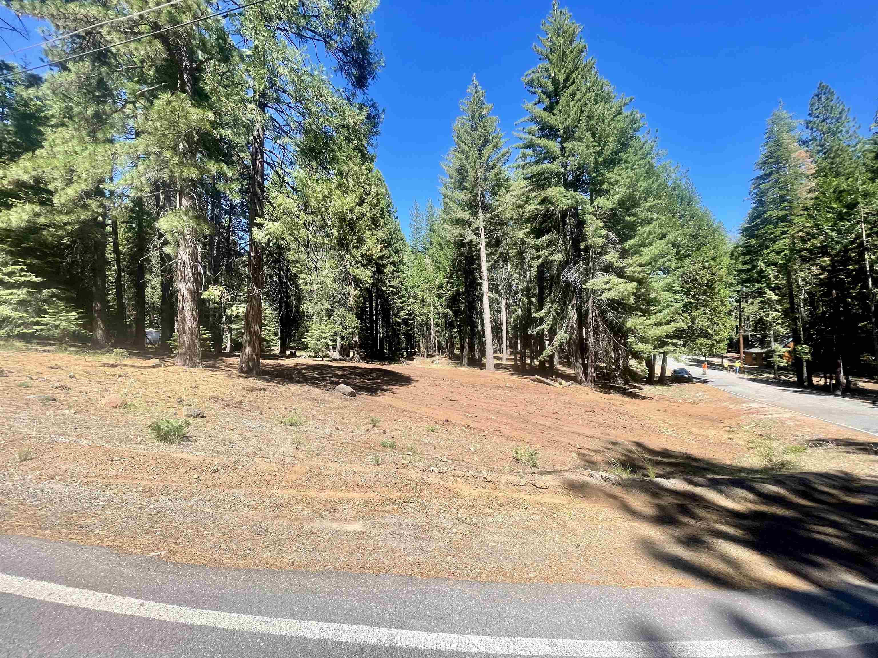 601 Deep Forest Road, Lake Almanor, California image 1
