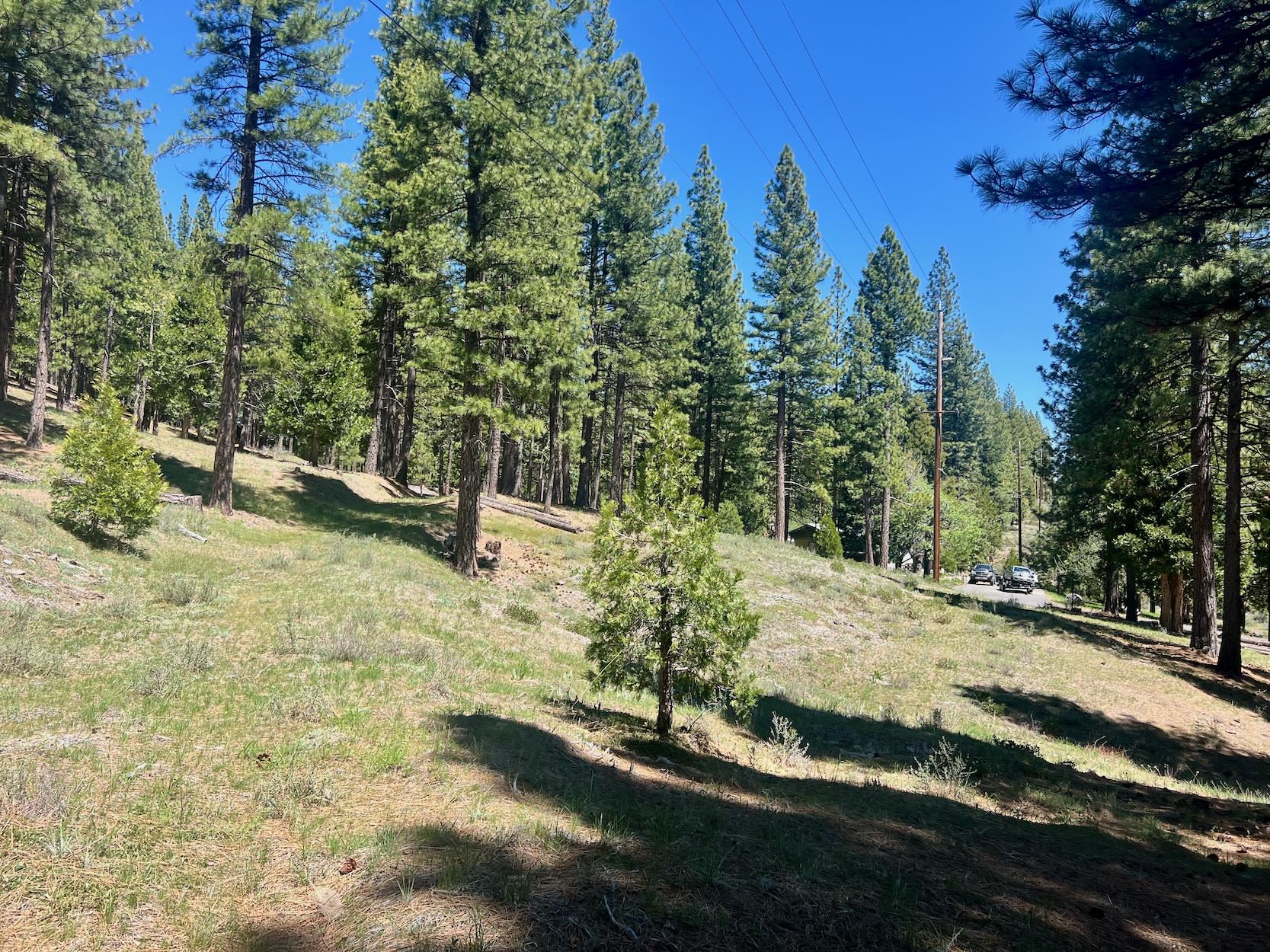 69867 Woodside Drive, Blairsden, New Mexico image 13