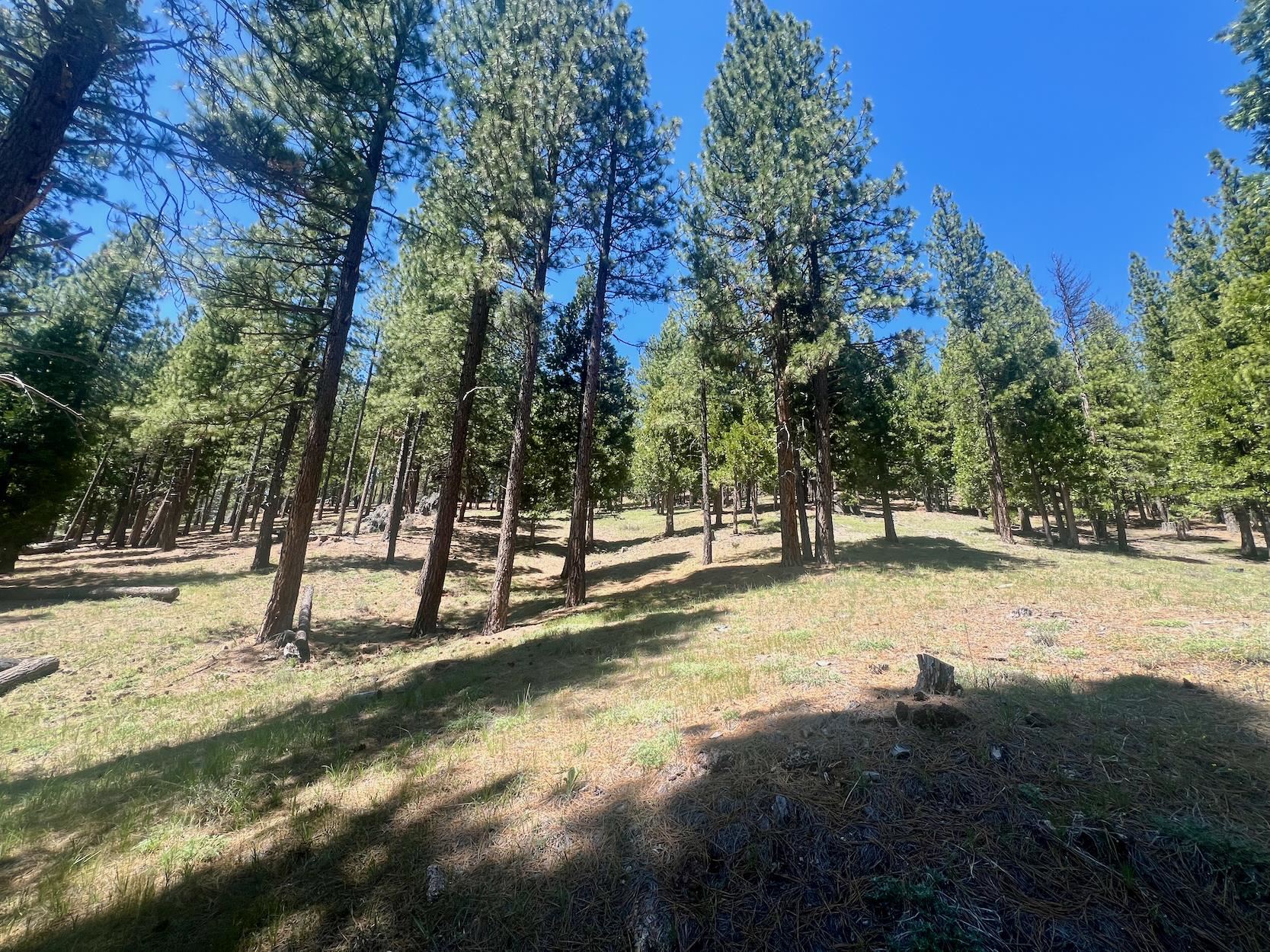 69867 Woodside Drive, Blairsden, New Mexico image 16