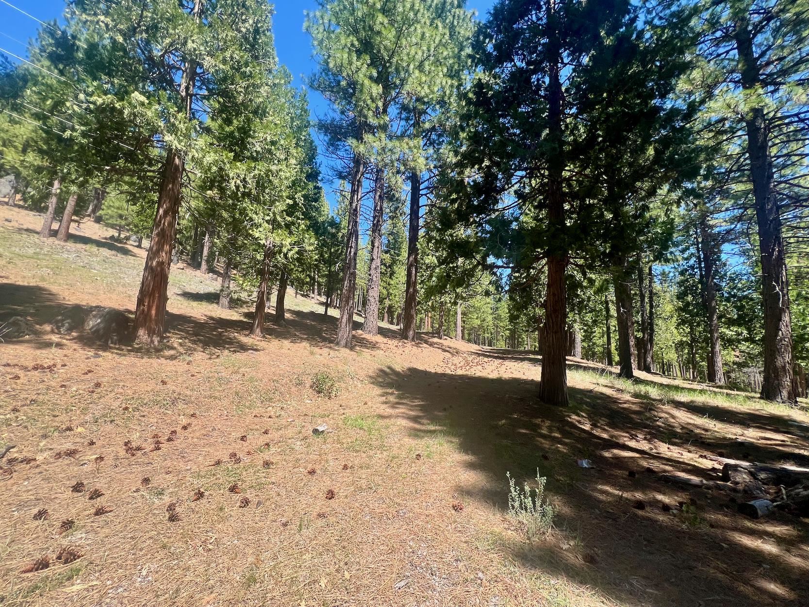 69867 Woodside Drive, Blairsden, New Mexico image 6