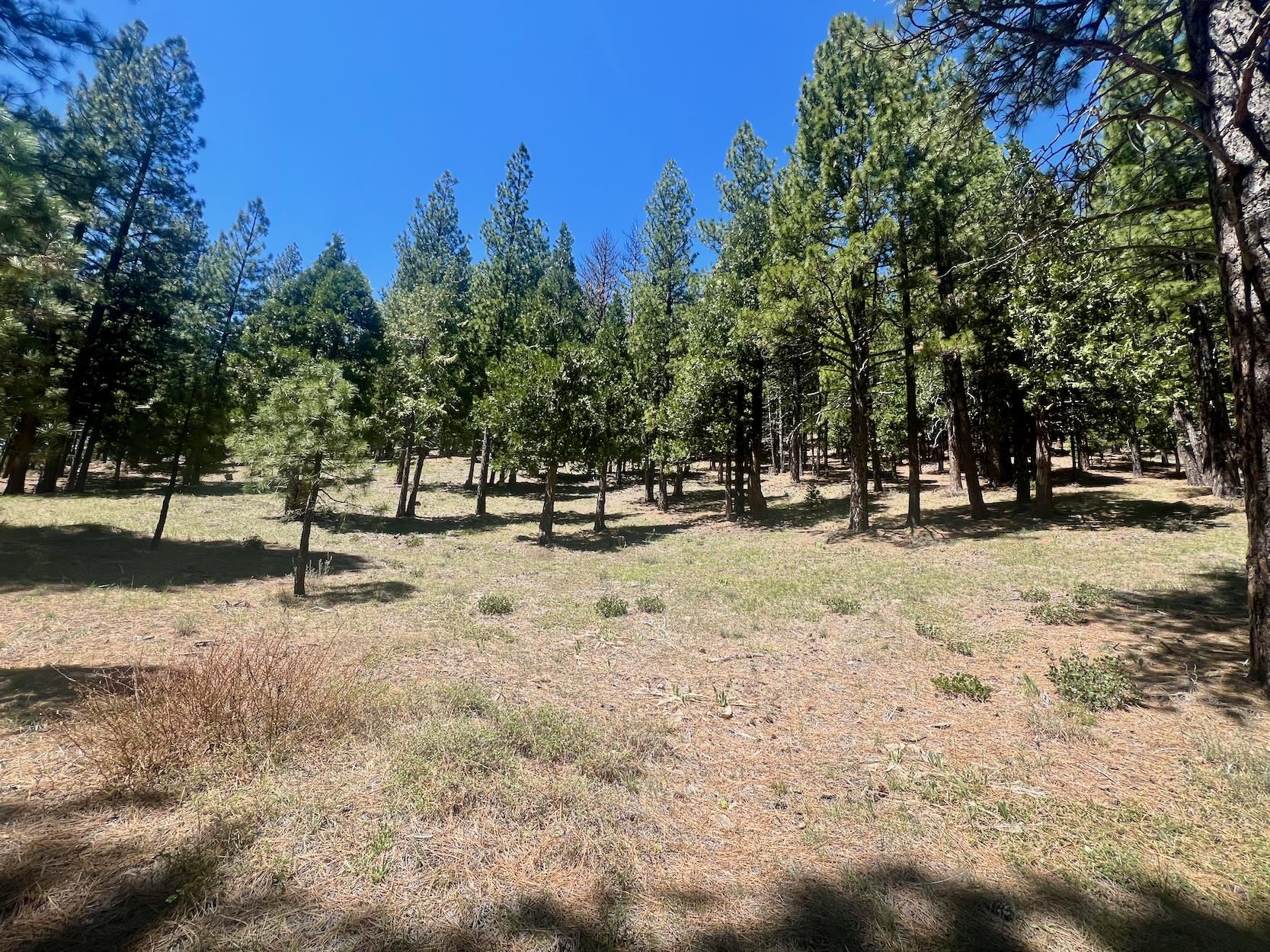 69867 Woodside Drive, Blairsden, New Mexico image 20