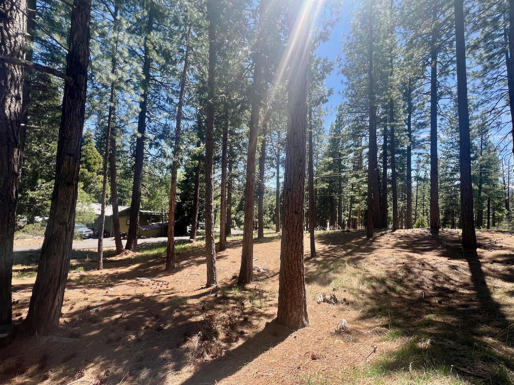 69867 Woodside Drive, Blairsden, New Mexico image 19