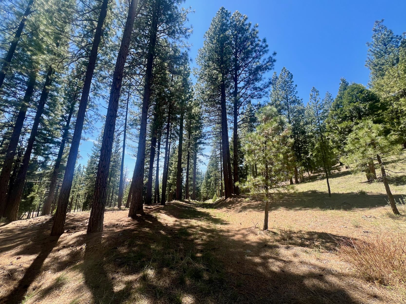 69867 Woodside Drive, Blairsden, New Mexico image 21