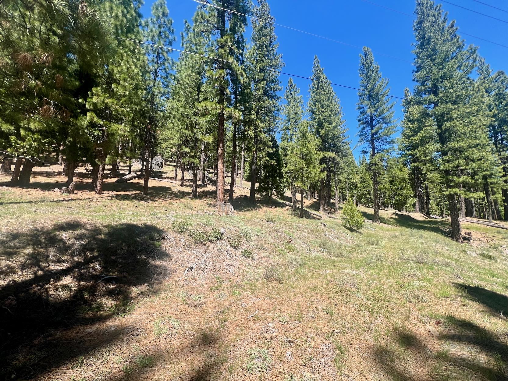 69867 Woodside Drive, Blairsden, New Mexico image 14