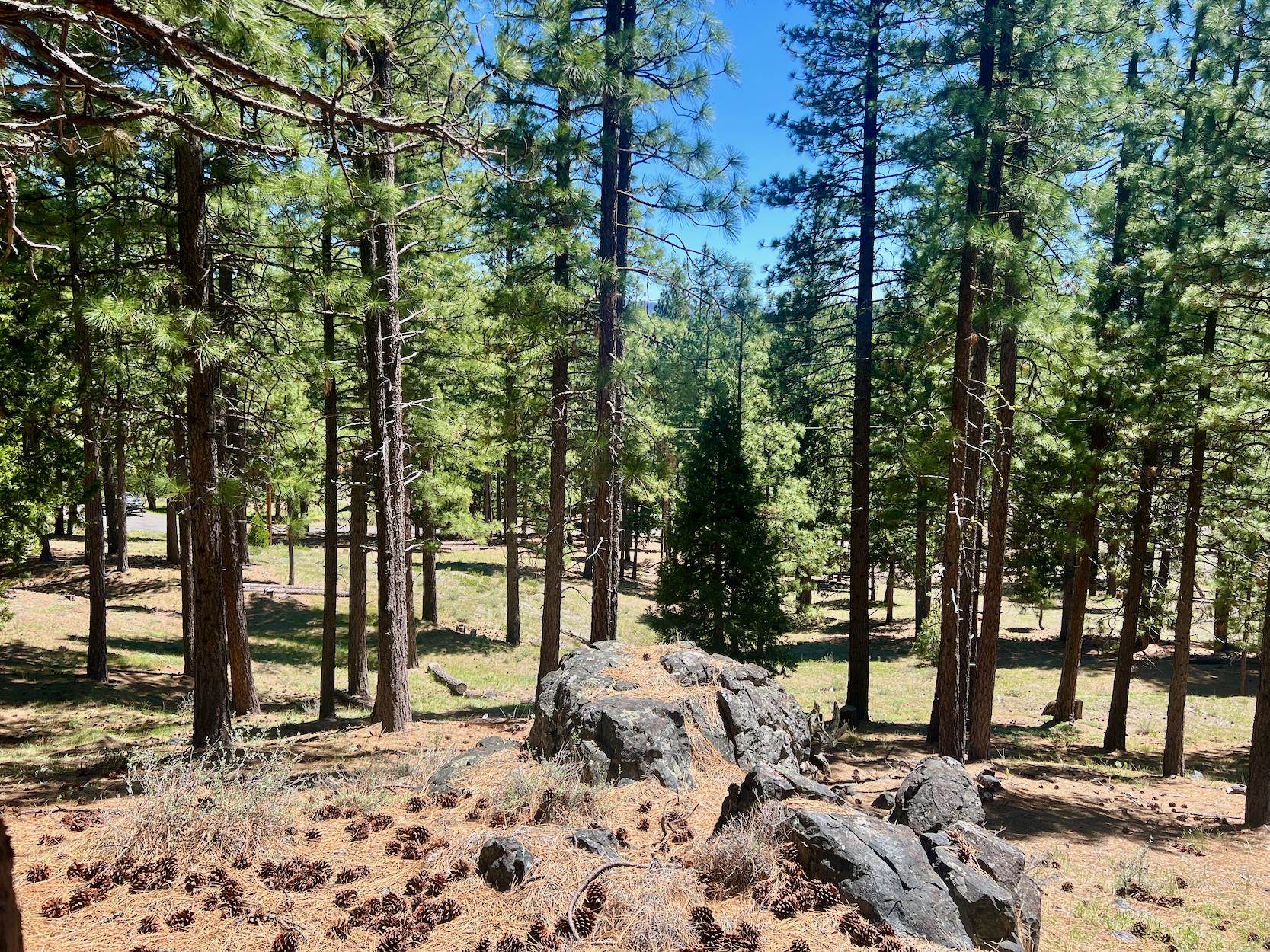 69867 Woodside Drive, Blairsden, New Mexico image 25