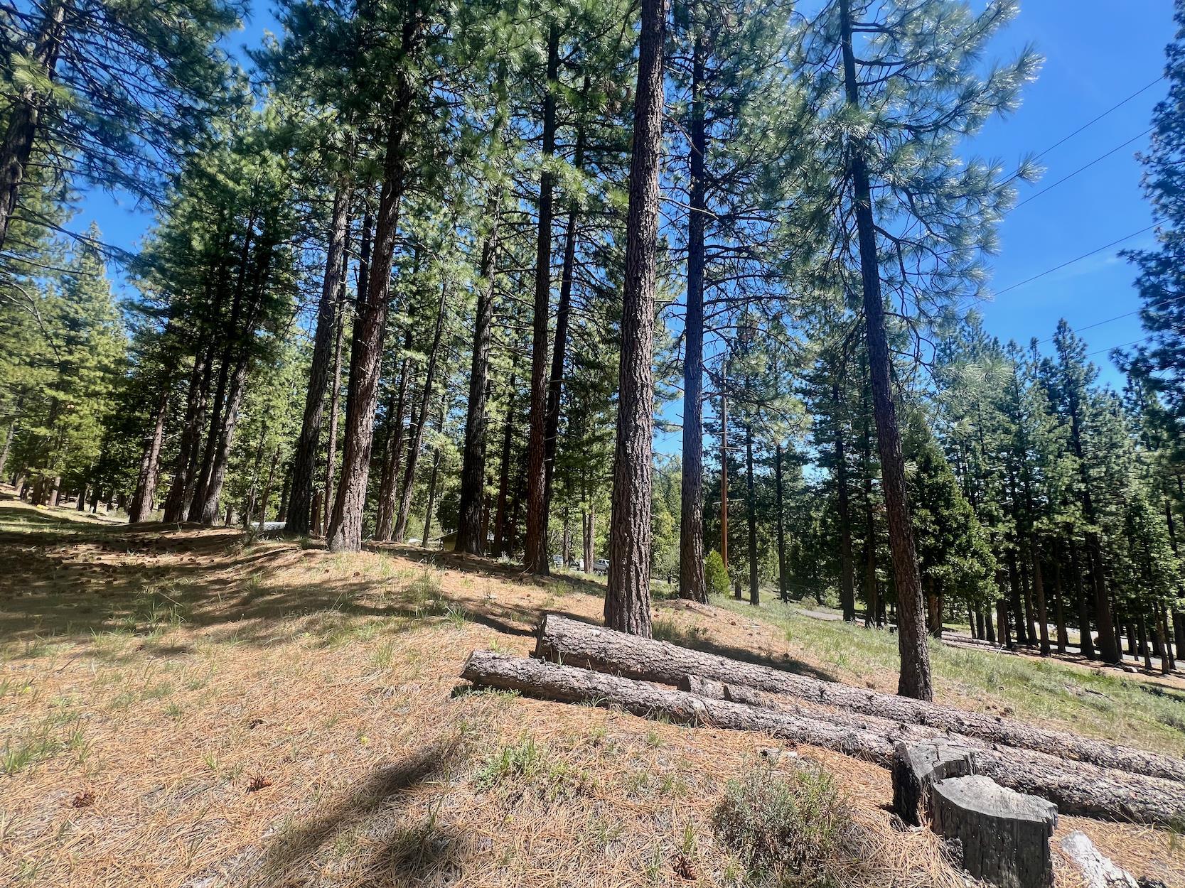 69867 Woodside Drive, Blairsden, New Mexico image 18