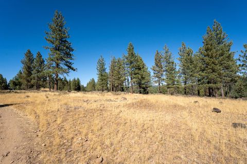 Vacant Land For Sale - 212 Otter Way Way<br/> Plumas County, Portola, CA 96122