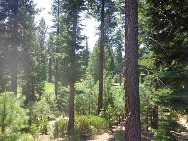 152 Treetop Circle, Lake Almanor, New Mexico image 8