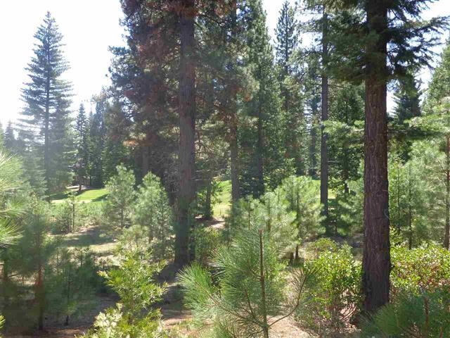 152 Treetop Circle, Lake Almanor, New Mexico image 6