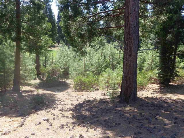 152 Treetop Circle, Lake Almanor, New Mexico image 7
