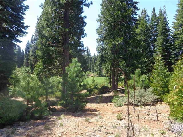 152 Treetop Circle, Lake Almanor, New Mexico image 4