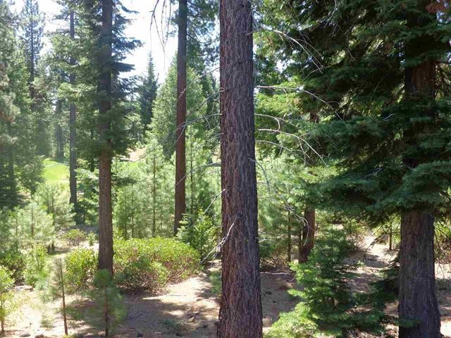 152 Treetop Circle, Lake Almanor, New Mexico image 10