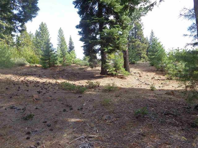 152 Treetop Circle, Lake Almanor, New Mexico image 5