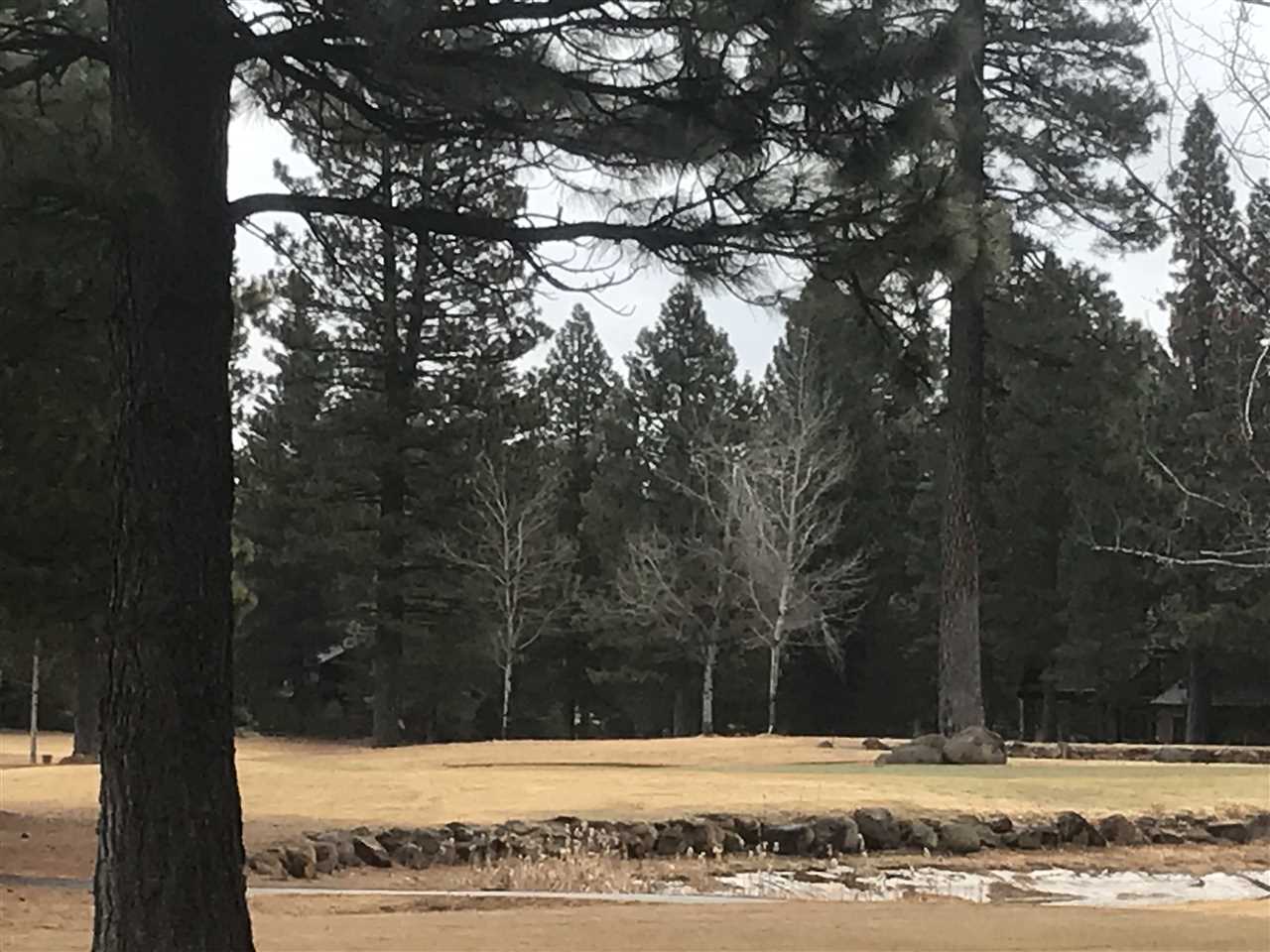 Lake Almanor, California 96137, United States, ,Land,Active,59014