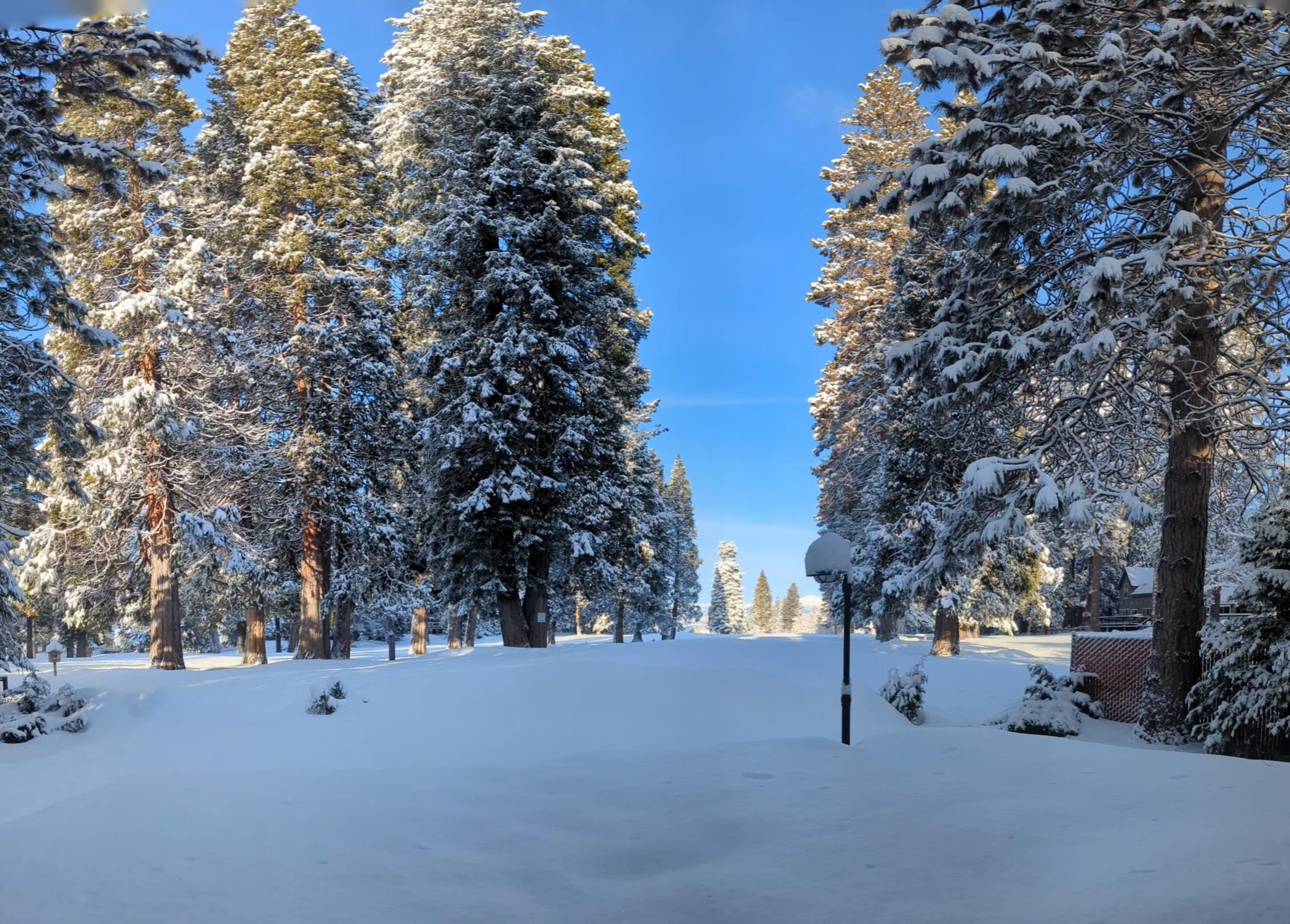 Lake Almanor, California 96137, United States, 3 Bedrooms Bedrooms, ,3 BathroomsBathrooms,Residential,Pending,186902