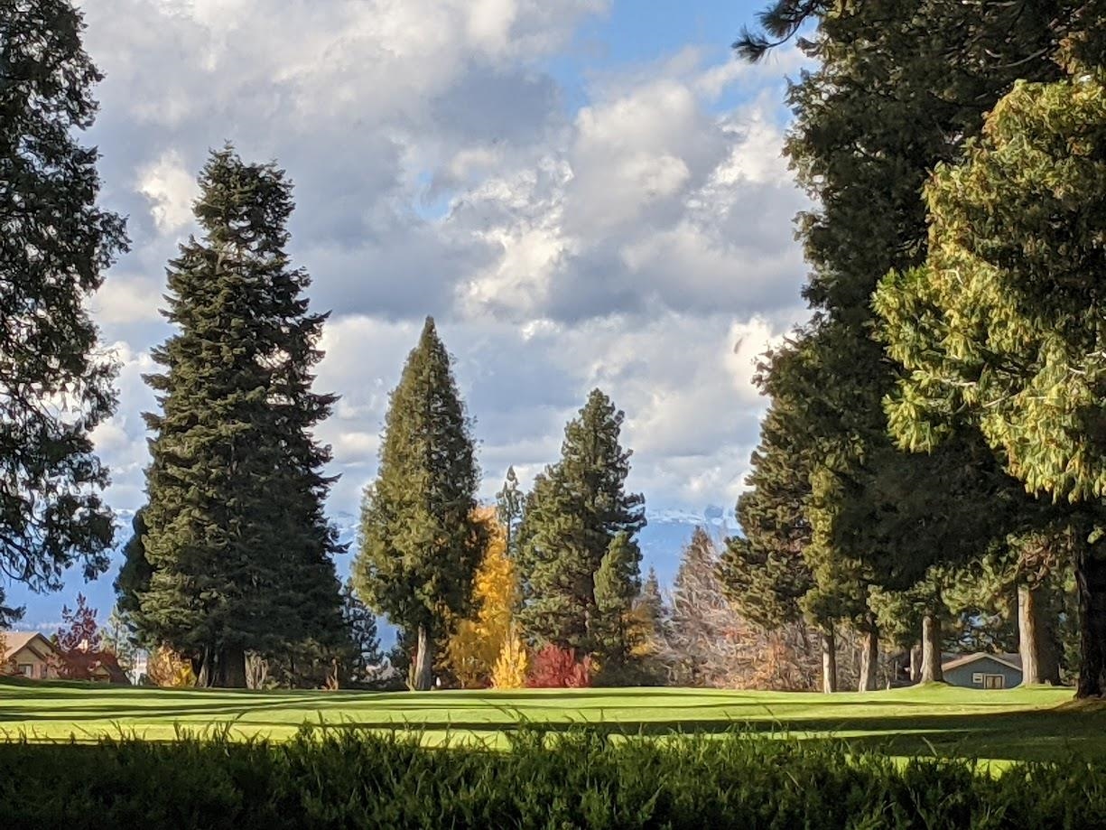 Lake Almanor, California 96137, United States, 3 Bedrooms Bedrooms, ,3 BathroomsBathrooms,Residential,Pending,186902