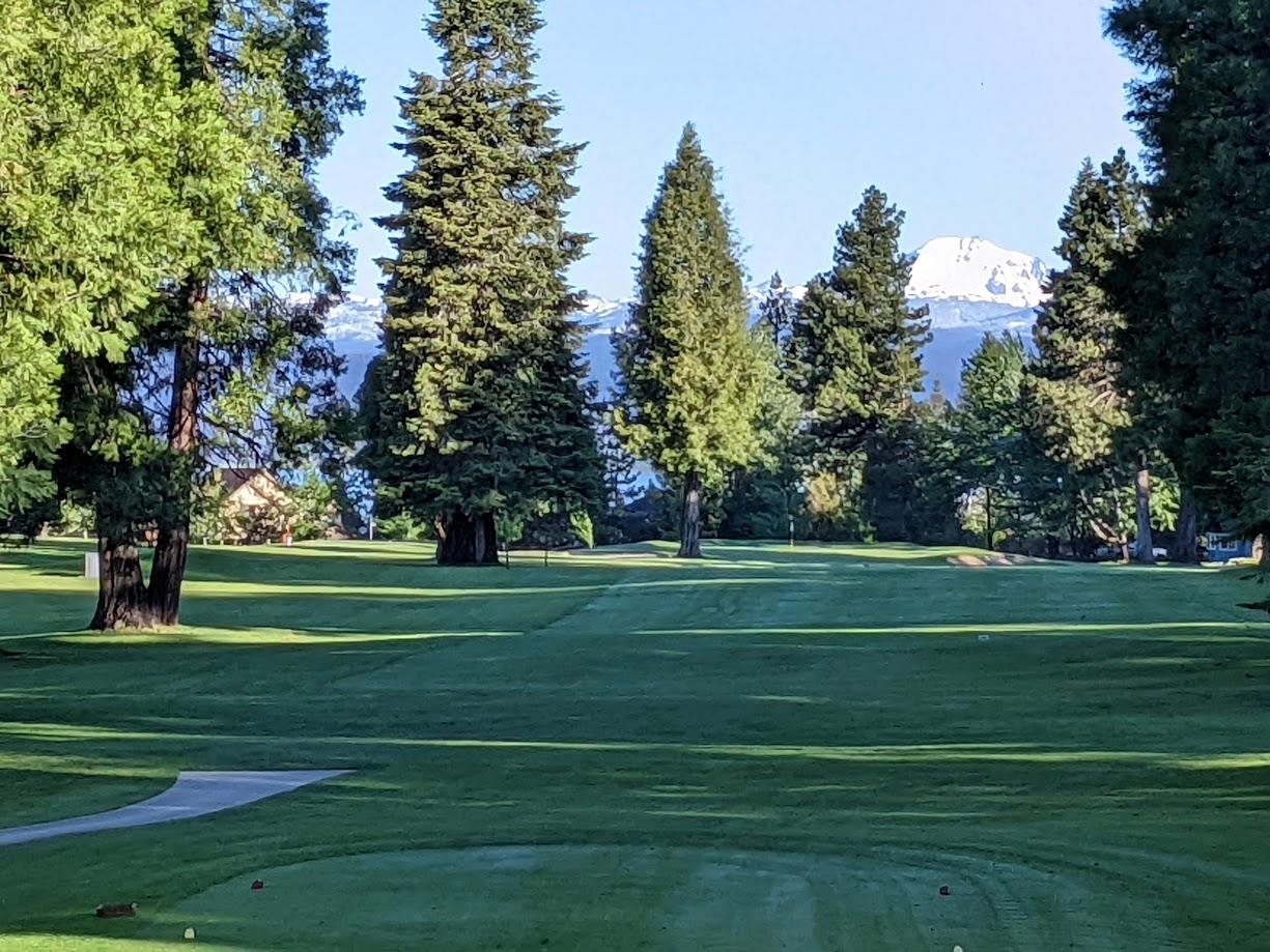 Lake Almanor, California 96137, United States, 3 Bedrooms Bedrooms, ,3 BathroomsBathrooms,Residential,Pending,186902