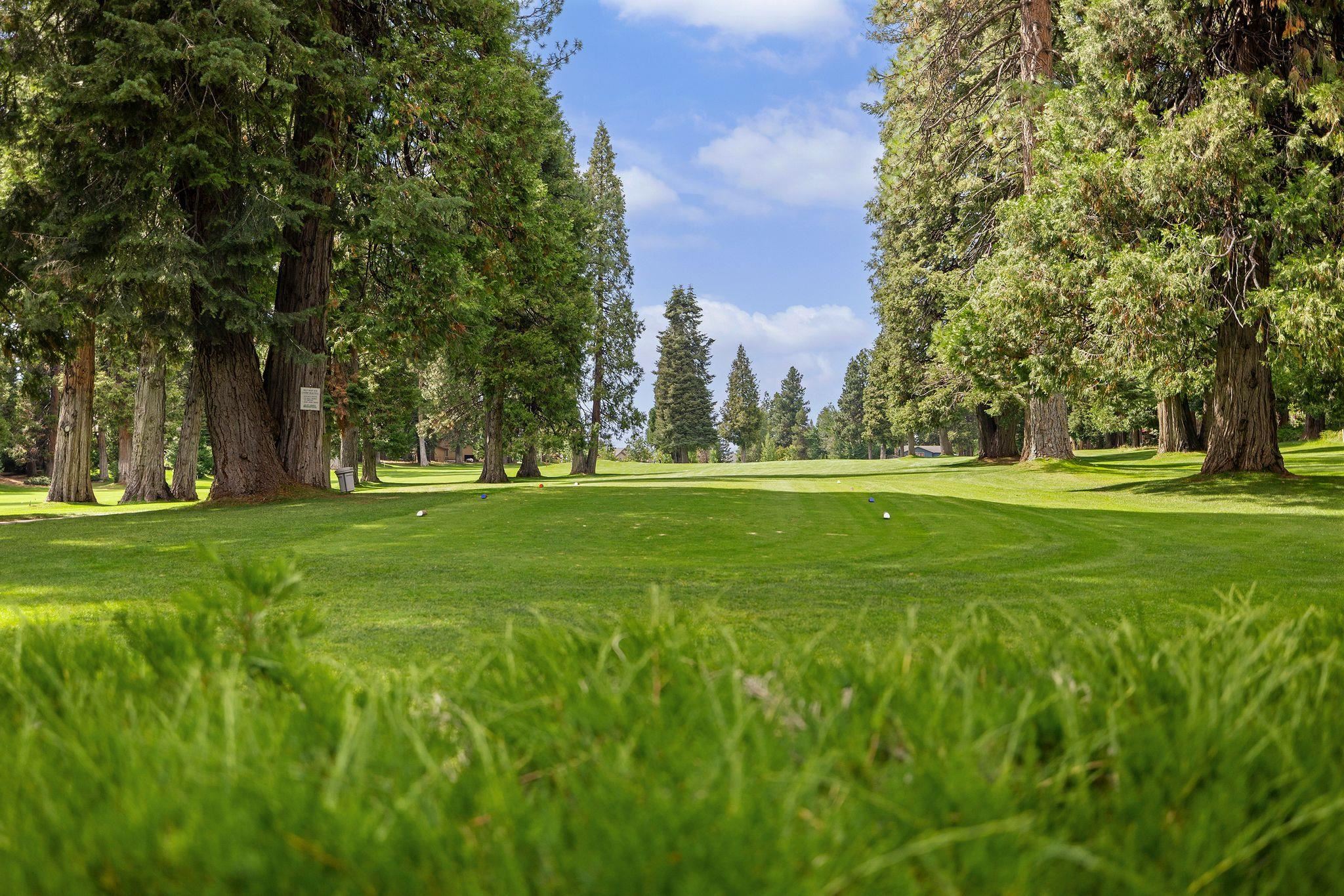 Lake Almanor, California 96137, United States, 3 Bedrooms Bedrooms, ,3 BathroomsBathrooms,Residential,Pending,186902