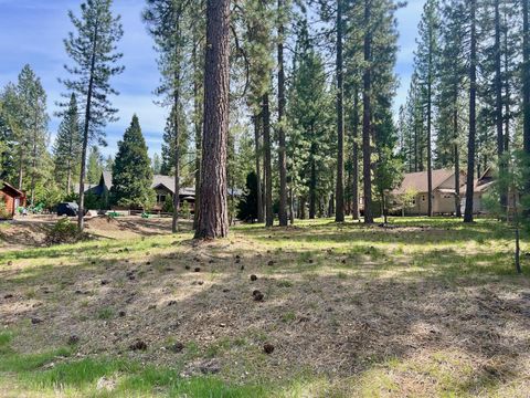 Homes For Sale - 325 Eureka Springs Drive Dr<br/> Blairsden, CA 96103