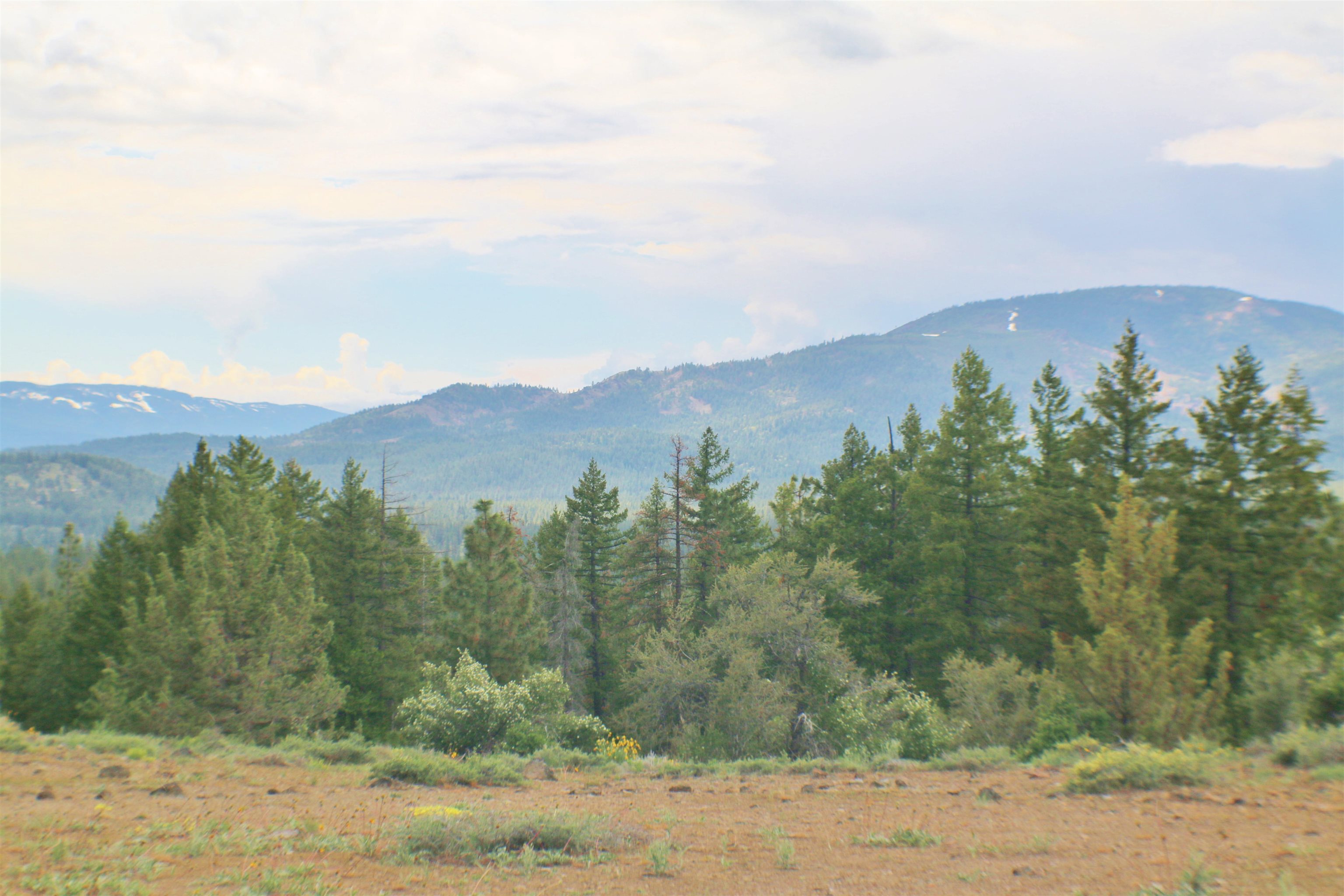 569 Canyon Rim, Portola, California image 13