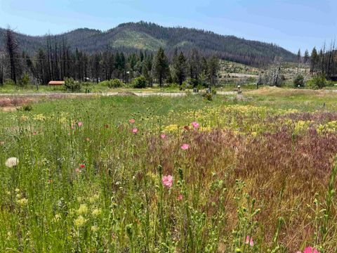 Vacant Land For Sale - 174 Hot Springs Road Rd<br/> Greenville, CA 95947