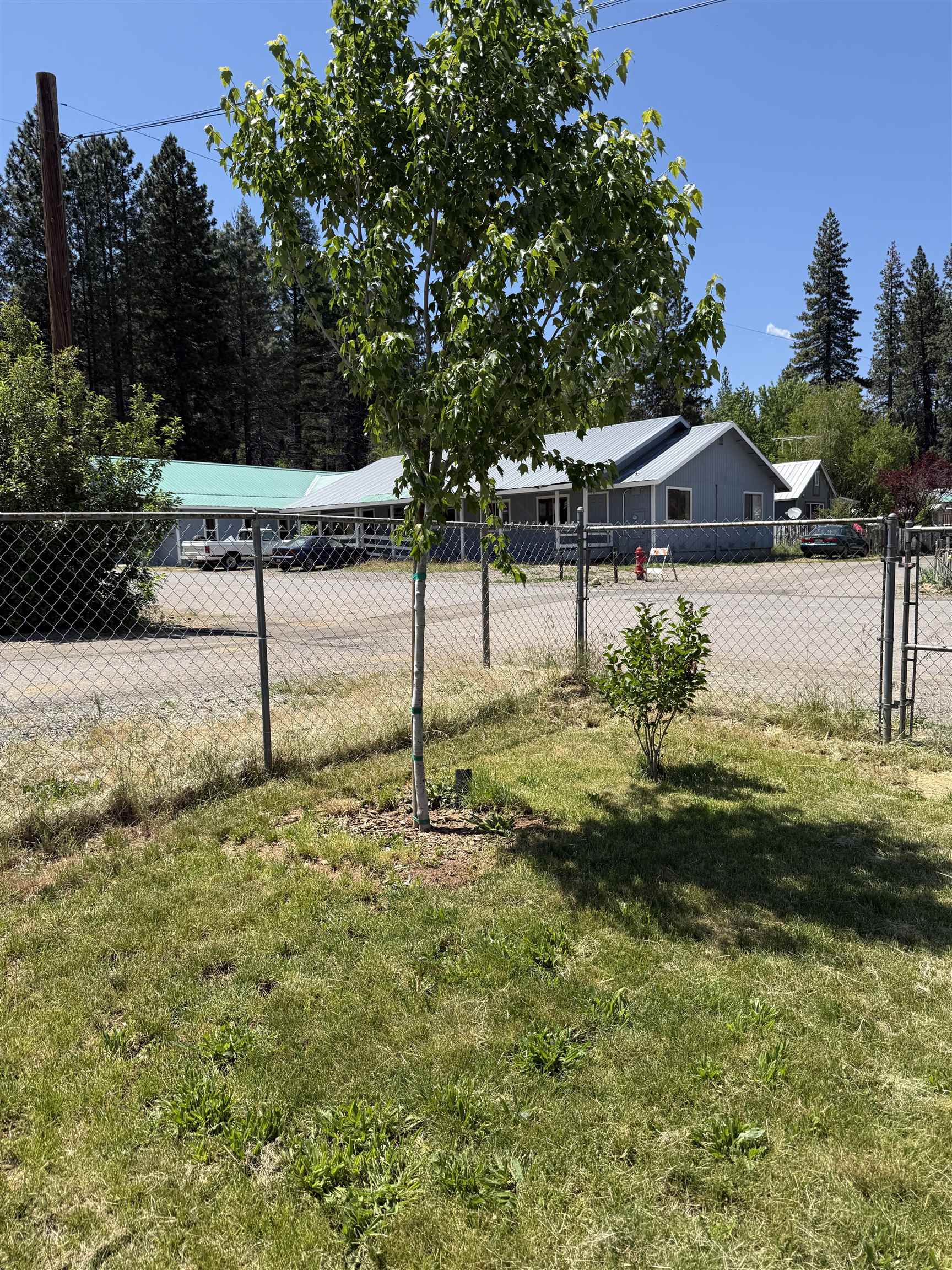 312 First Street, Greenville, New Mexico image 10