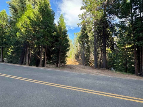 Vacant Land For Sale - 814 Lake Ridge Road<br/> Lake Almanor, CA 96137