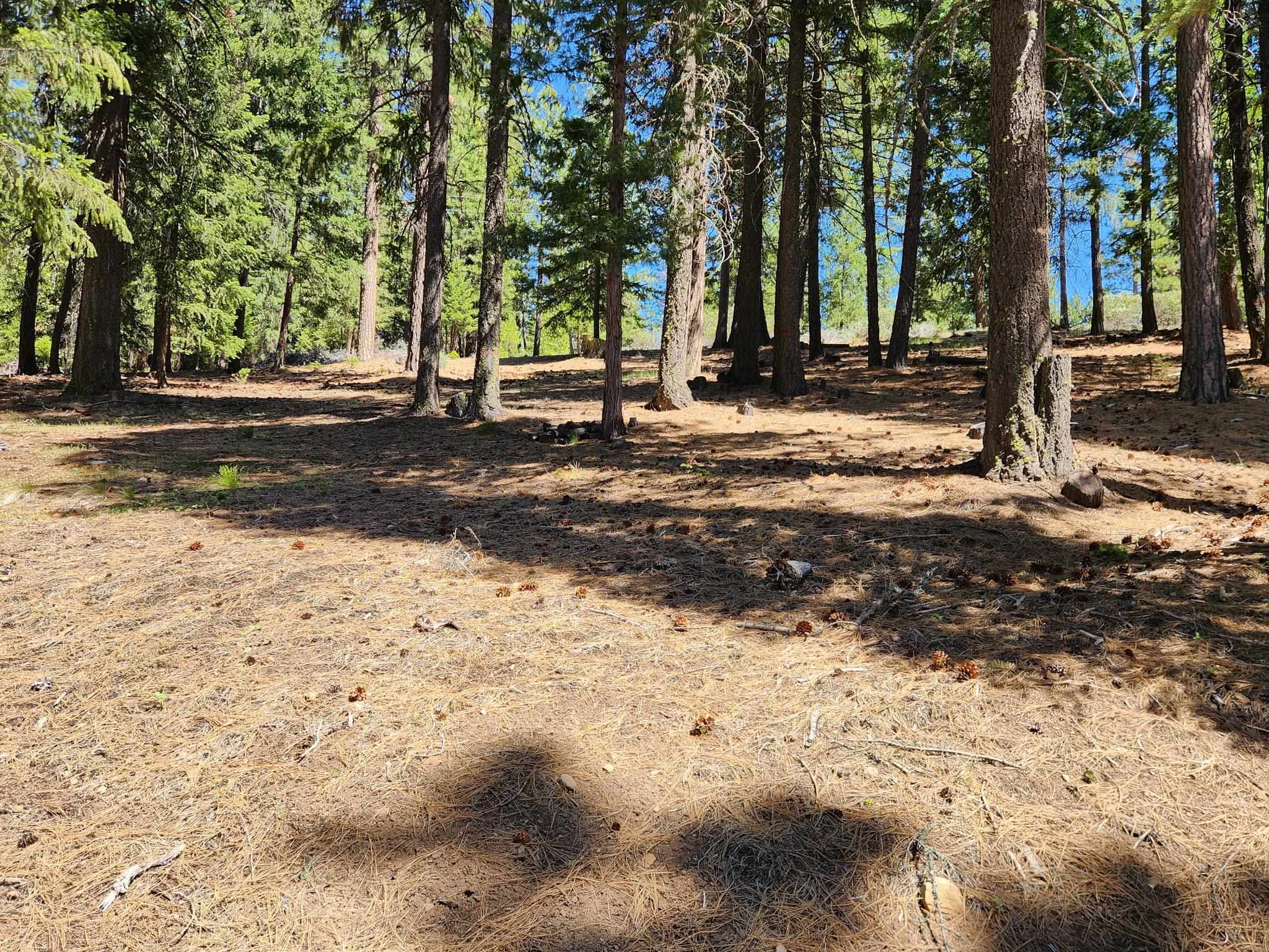 69433 Porcupine Road, Graeagle, New Mexico image 8