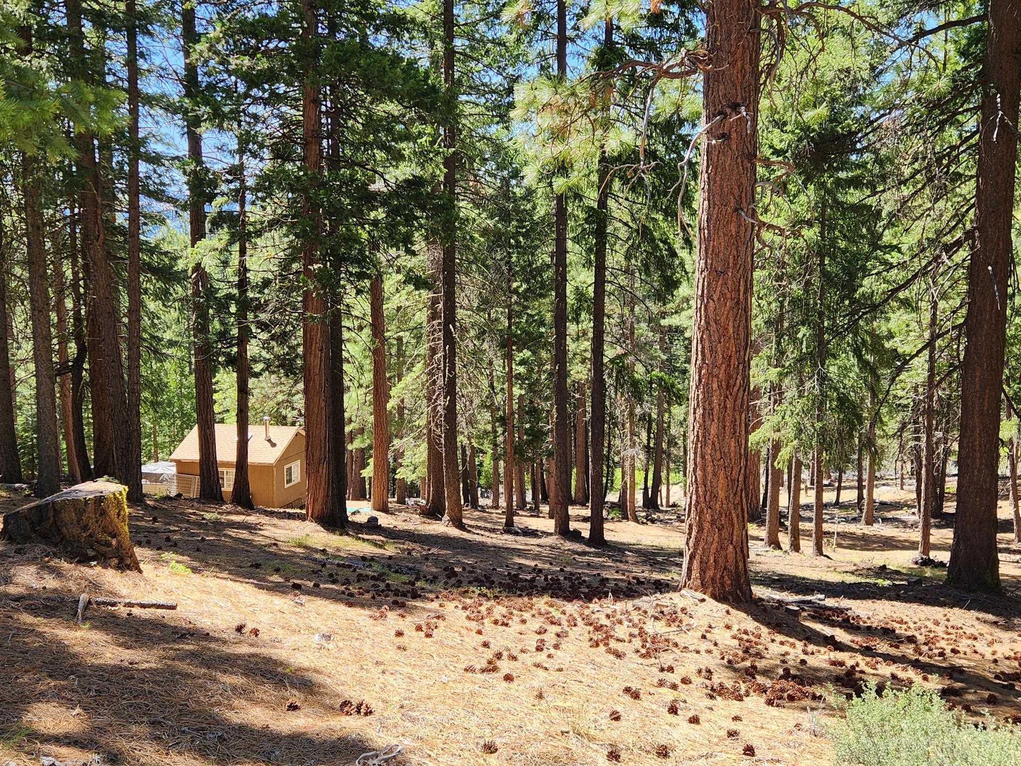 69433 Porcupine Road, Graeagle, New Mexico image 12