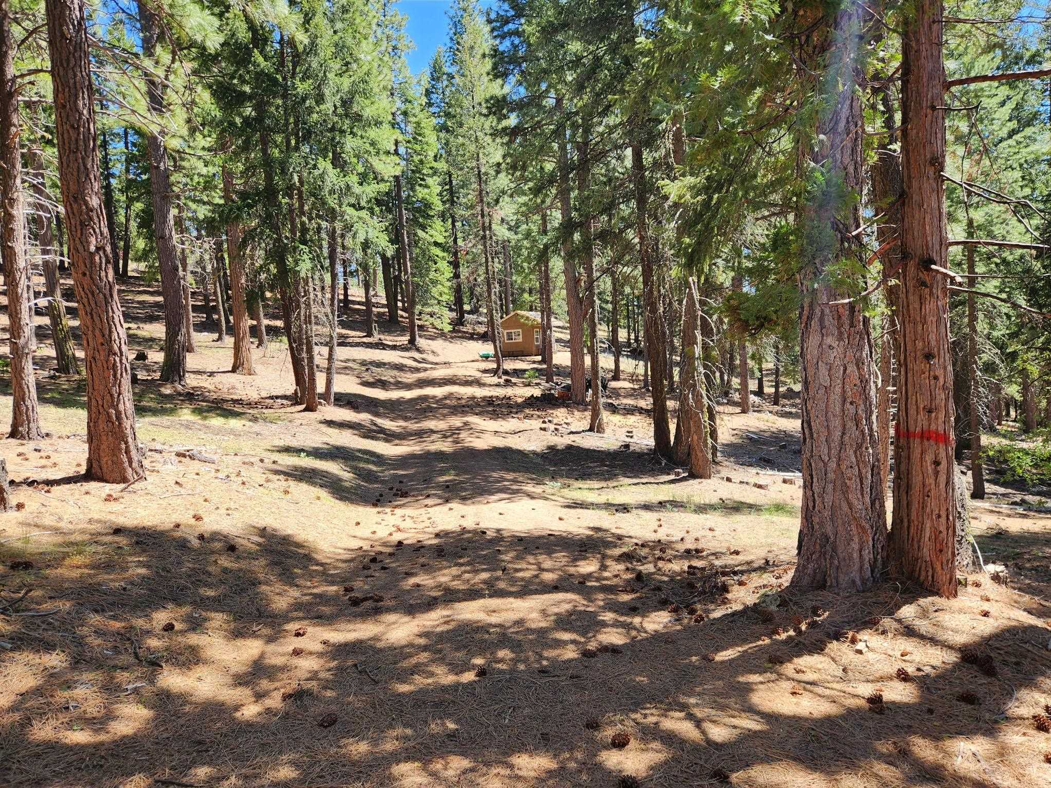 69433 Porcupine Road, Graeagle, New Mexico image 11