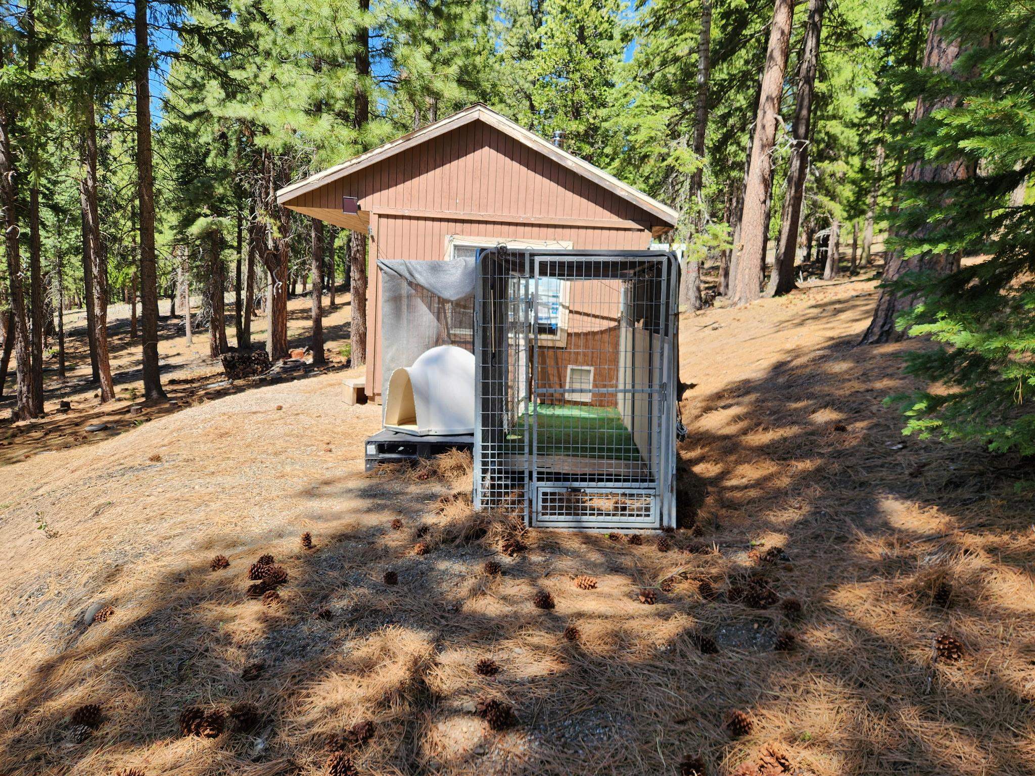 69433 Porcupine Road, Graeagle, New Mexico image 2