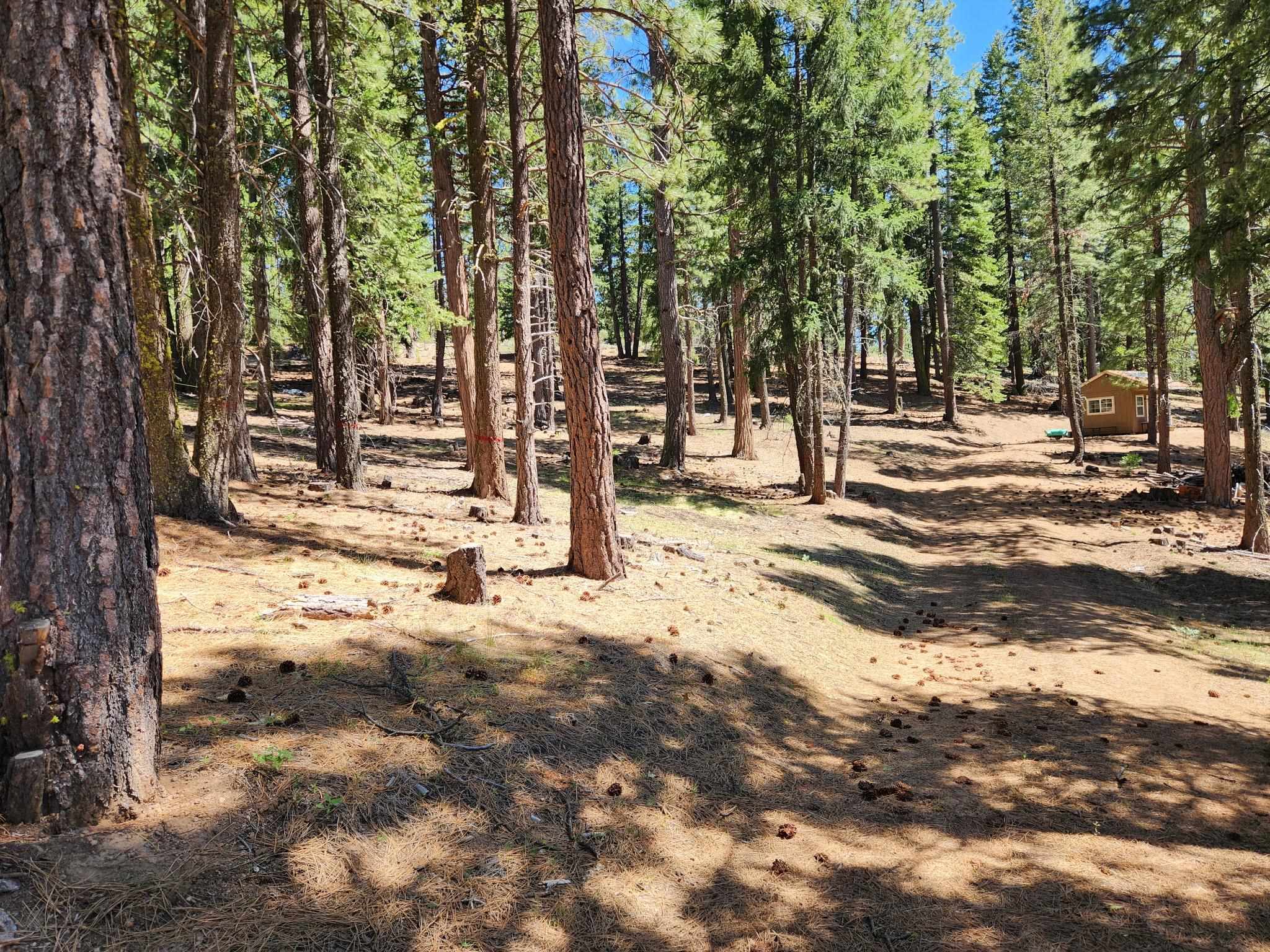69433 Porcupine Road, Graeagle, New Mexico image 10