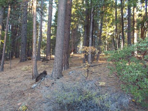 Homes For Sale - 2300 Shooting Star Lane Ln<br/> Quincy, CA 95971