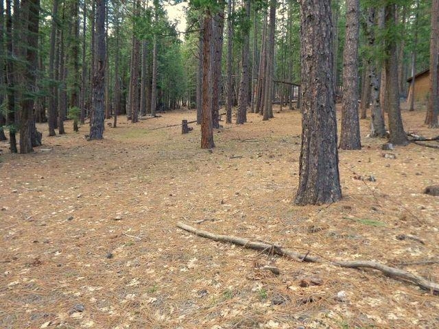 2045 Red Bluff Trail, Quincy, California image 3