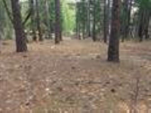 2045 Red Bluff Trail, Quincy, California image 2